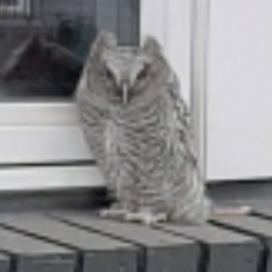 Meet your Posher, Teresa